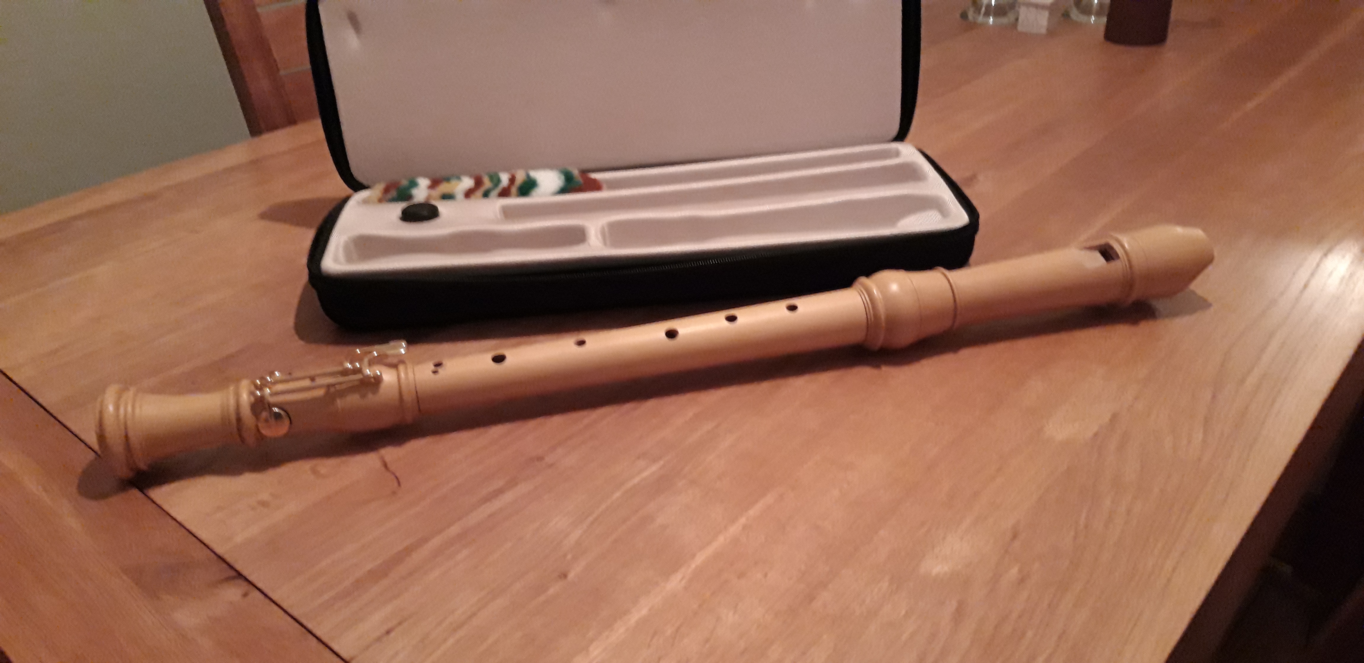 20190607_214844 Society of Recorder Players